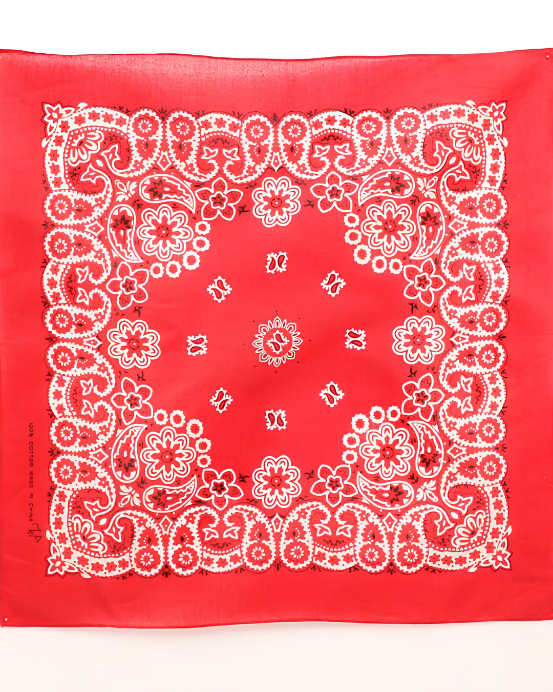 Bandana Paisley Coton