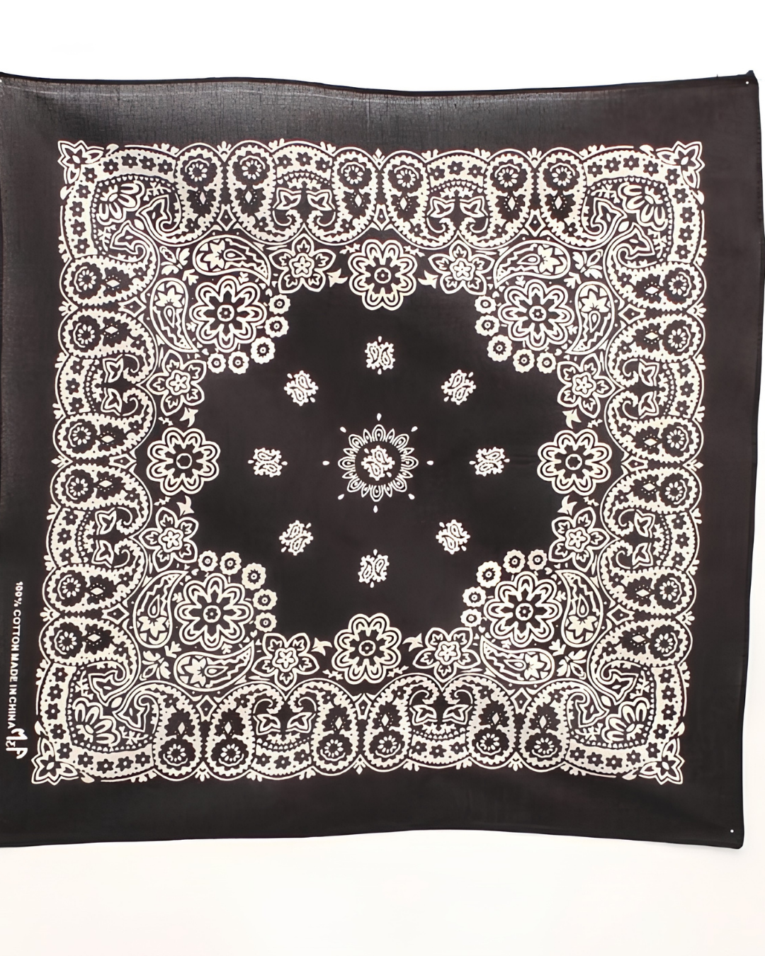 Bandana Paisley Coton