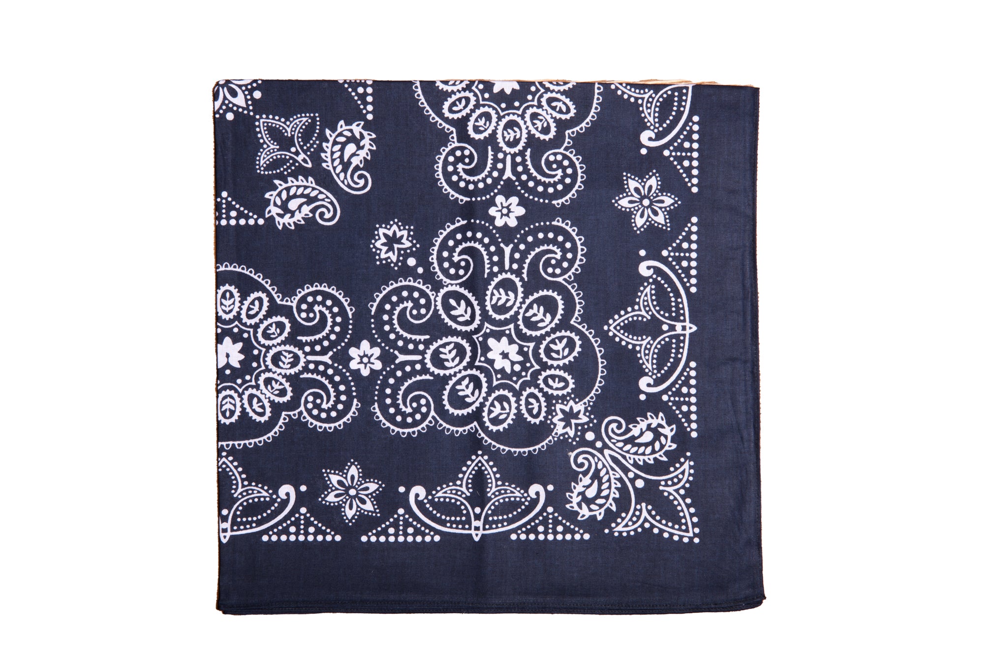 Large Paisley Bandana