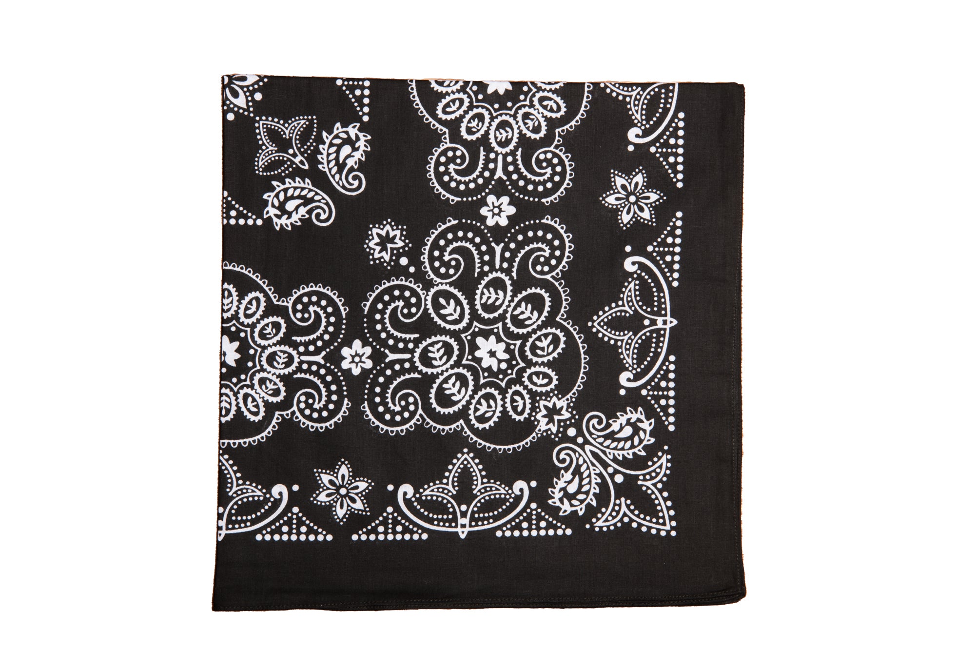 Large Paisley Bandana